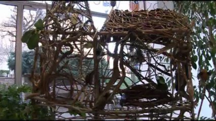 " au-dessus des terres et dans les caves"