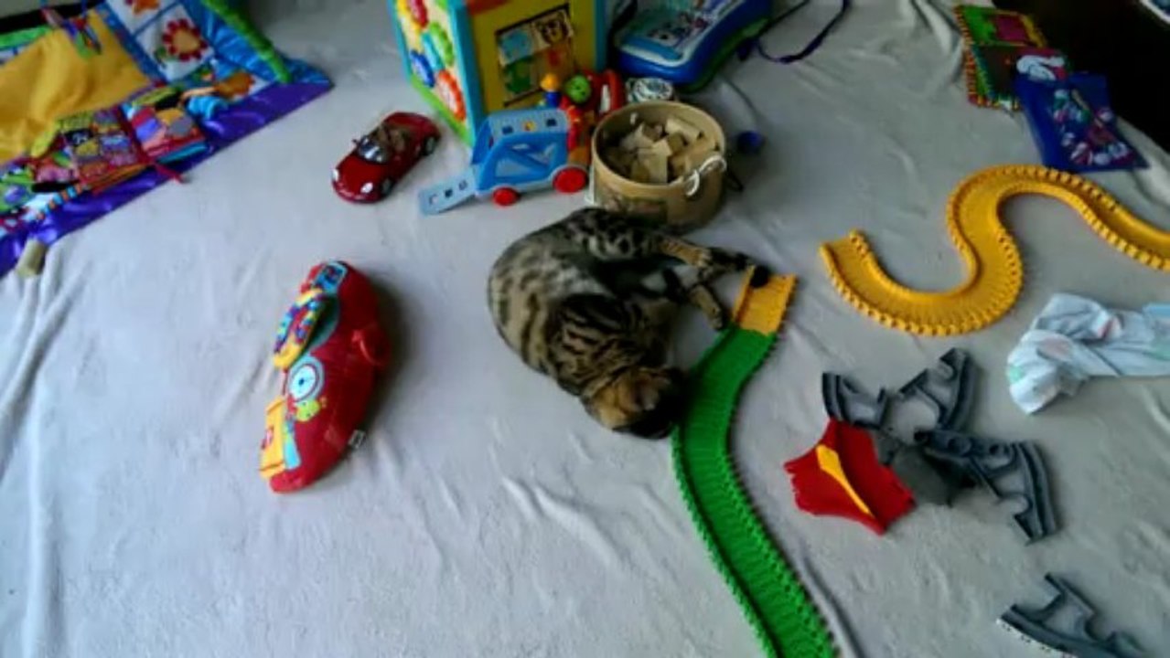 Rumble Randomly Rolling aRound