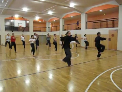 SHAOLIN TECHNIQUES DE JAMBES ET DE BRAS