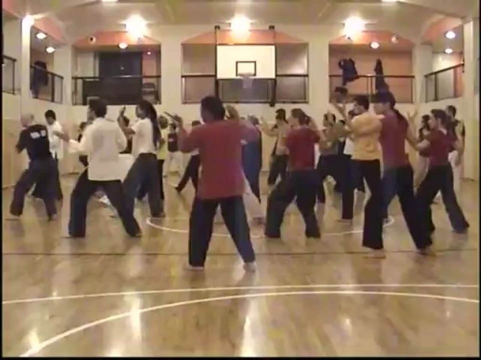ESPACE TAICHI KUNGFU QIGONG REUNIS