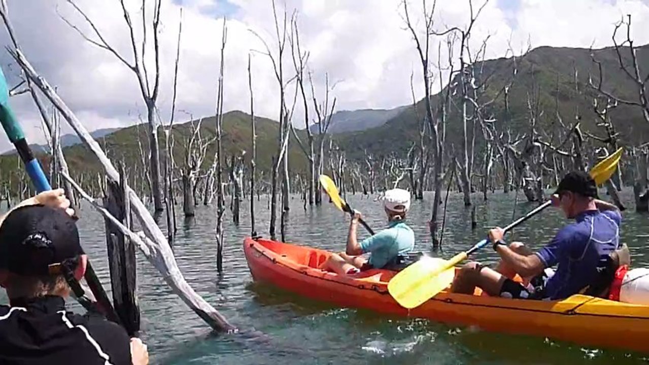 La forêt noyée en kayak