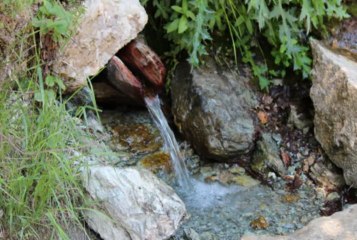 Riza Bllaca - Kanga Ura e Shejt