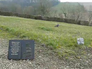 Ernemont-Boutavent : vandalisme au cimetière communal