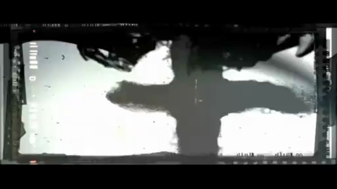 the GazettE - LEECH PV 日中字幕