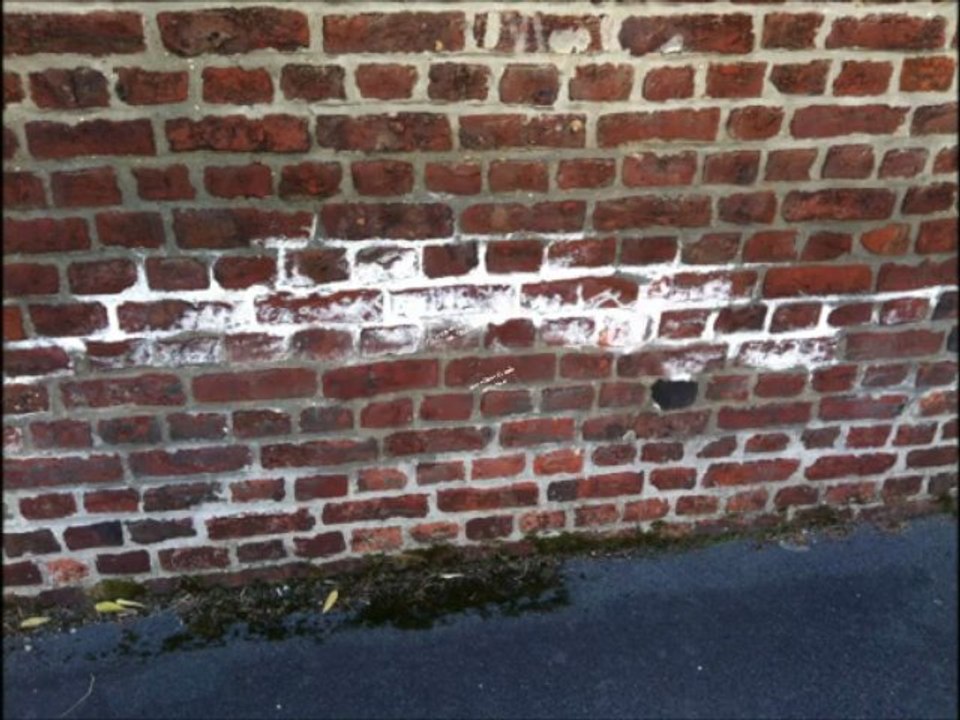 degats murs humides