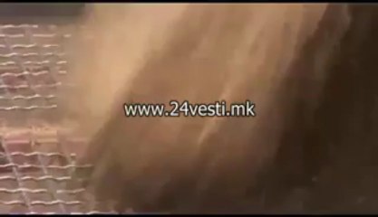 OTROVNA PCENICA UVEZENA OD SRBIJA