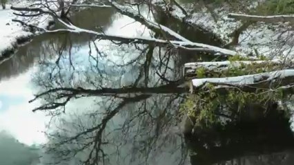 Will You - Hazel O Connor Cover by Andrew Snowden (Saxophone