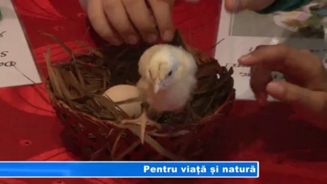 PENTRU VIATA SI NATURA