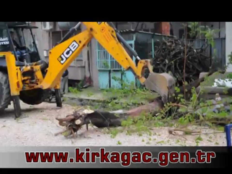 Agac_kesim_haberi