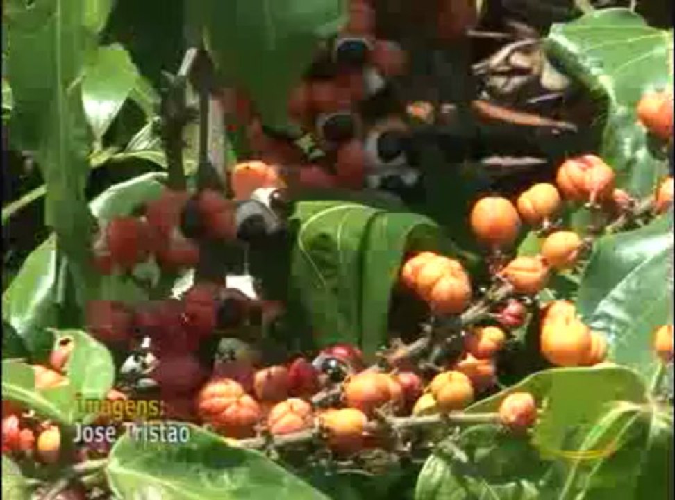Dia de Campo na TV do dia 06-04-2013