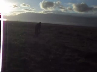 Kurzhaar Alien.Antreman.