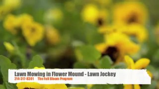 Flower Mound Lawn Maintenance