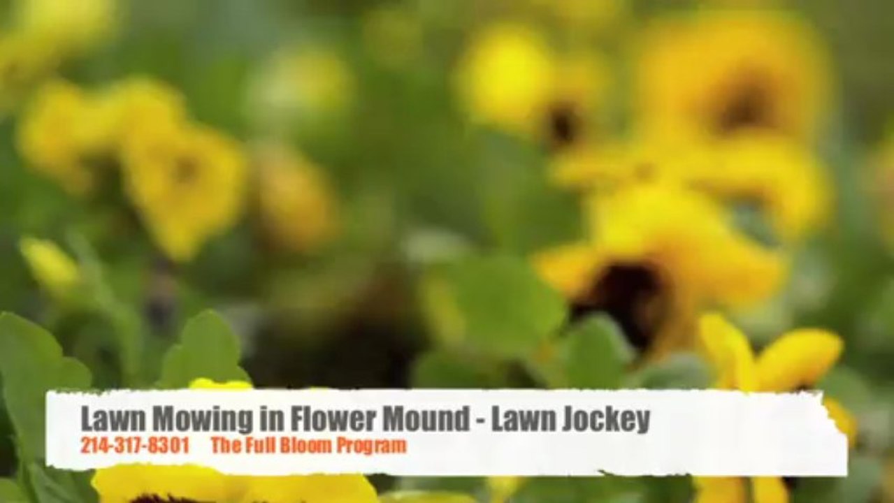 Flower Mound Lawn Maintenance