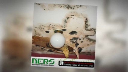 Mold Removal Service Concord NH | Call (603) 491-5738