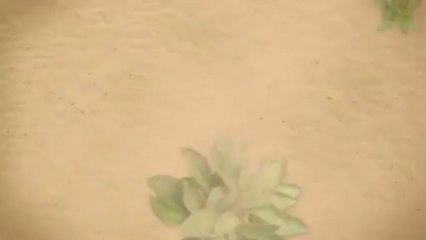 Get More Soundcloud Downloads