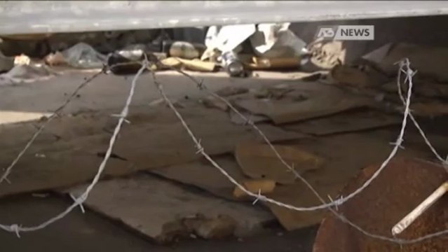 FILO SPINATO ANTI BARBONI