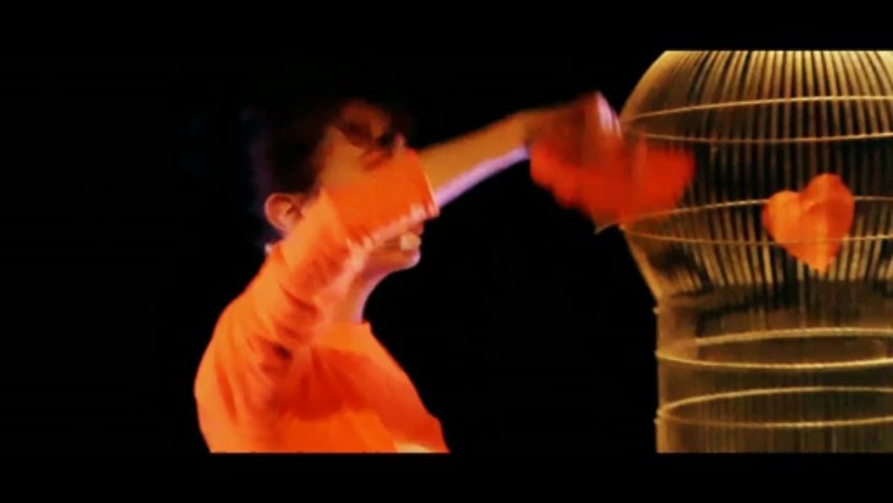 Palpitations - Pas de crédit