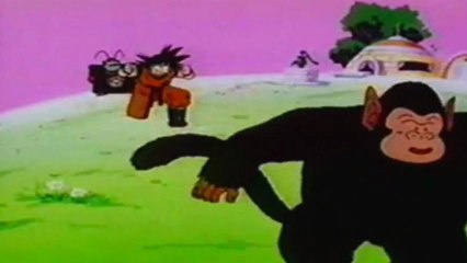 Dragon Ball Z Training