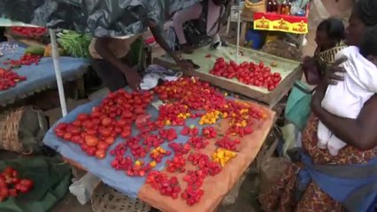 Bleue Régine Tsoungui, Députée de la majorité présidentielle (Cameroun)