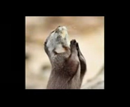 비비바카라☱☱☲☰ Mkk321.COM ☰☲☱☱비비바카라