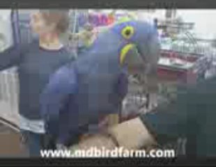 추천카지노☱☱☲☰ Mkk321.COM ☰☲☱☱추천카지노