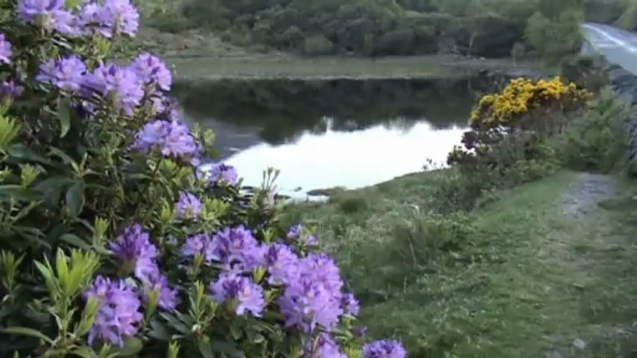 New01.mpg  Irelande  4 Connemara