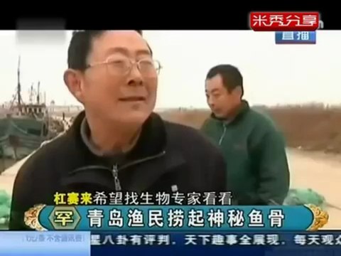 Unknown Skeleton of Sea Creature Found in Qingdao China