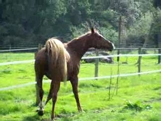 Ma kala en plein petage de plomd lol