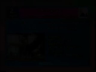 Yorkshire Terrier Twiggy du domaine de Monderlay