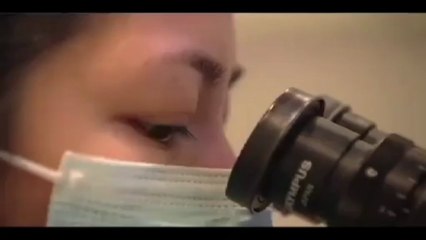 Preimplantation Genetic Diagnosis (PGD) – Houston & Sugar Land