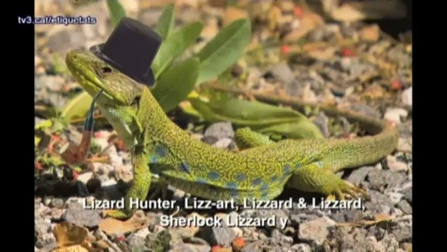 TV3 - Etiquetats - Roberto Barrueco, a #Etiquetats