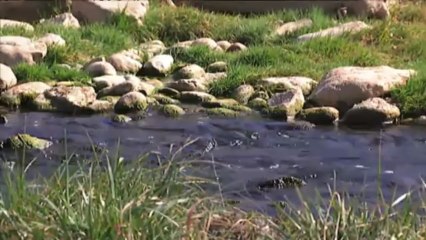 El medi ambient - La salinització dels rius