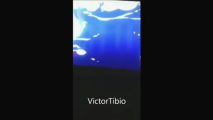 (Download full movie) DRAGONBALL Z · Battle Of Gods (cinema)