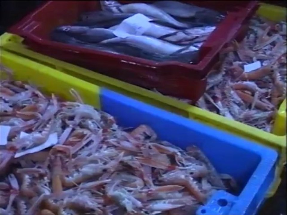 1994  Le port de pêche de Keroman -Magazine TV Prise de vue * Trigone Production