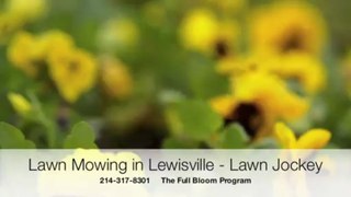 Lewisville Lawn Maintenance