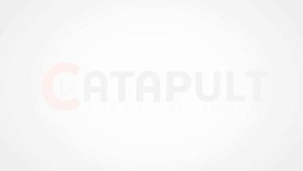 Catapult Plus - Birds Fly