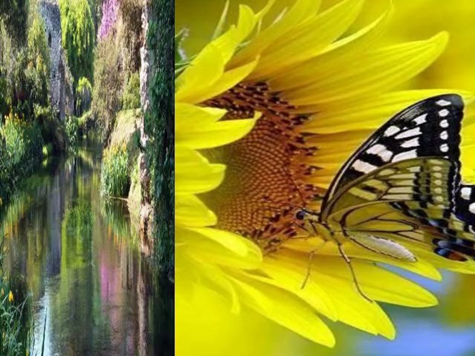 Ballade Pour Adeline - R C