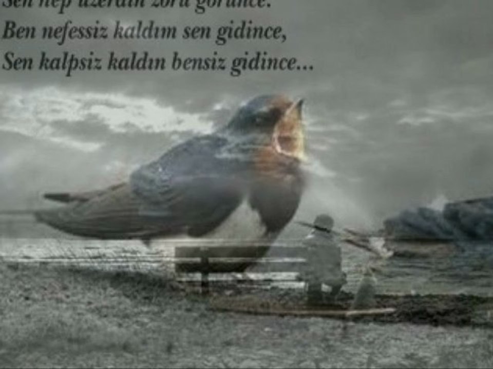 Erdem Zeytünlü / Sen yoktun / ŞİİR