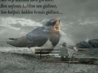 Erdem Zeytünlü / Sen yoktun / ŞİİR