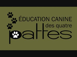 Comportement canin : Tout sur la possession de bouffe chez le chien.