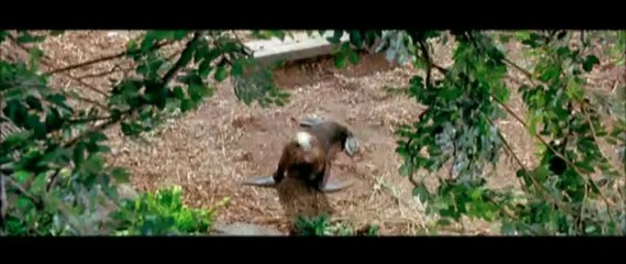 Bande Annonce - L'île de Nim.