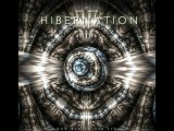 Kamil Wrona - Hibernation (1080 HD)