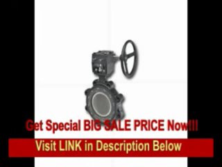 [SPECIAL DISCOUNT] Butterfly Valve