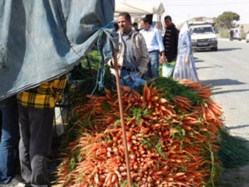 les souks, السوق بالصخيرة, 2013