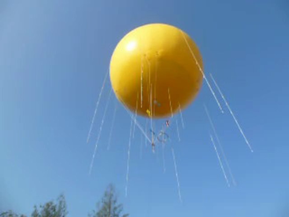 OCTOPUSSY TETHERED BALLOON by Planete Balloon