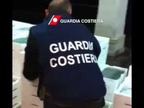 Roma - Guardia Costiera. operazione Undersize , lotta alla pesca illegale (05.04.13)