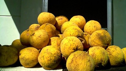 클릭비소요유   ☚卐❤卐 ➳✯♛✫ GGO233.COM ✫♛ ✯ ➳ 卐❤卐☛   사설바둑이