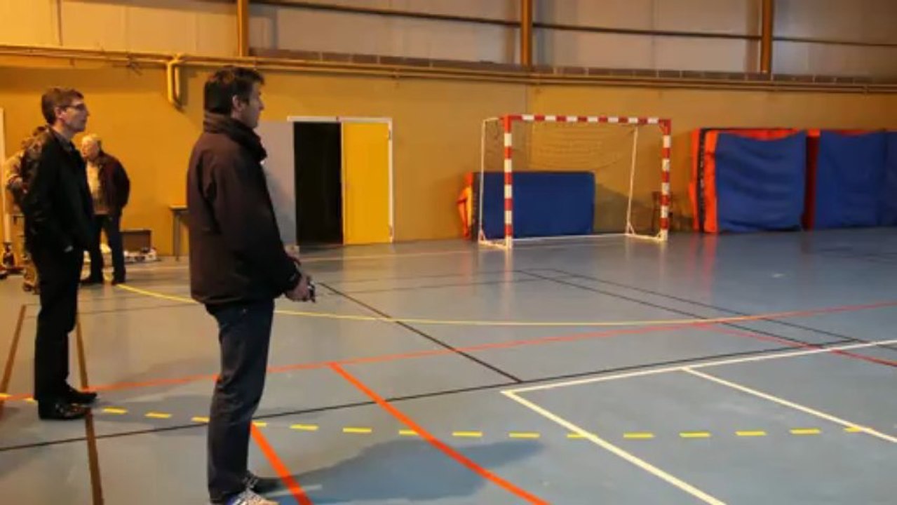 Ludo indoor