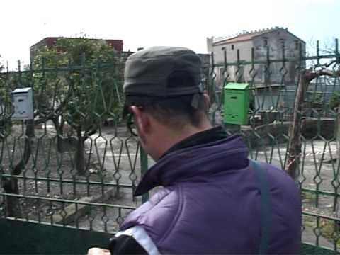 Torre del Greco (NA) - Ucciso un anziano durante una rapina -2- (05.03.13)