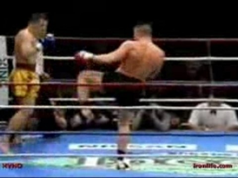 Jerome Le Banner vs Mirko Cro Cop